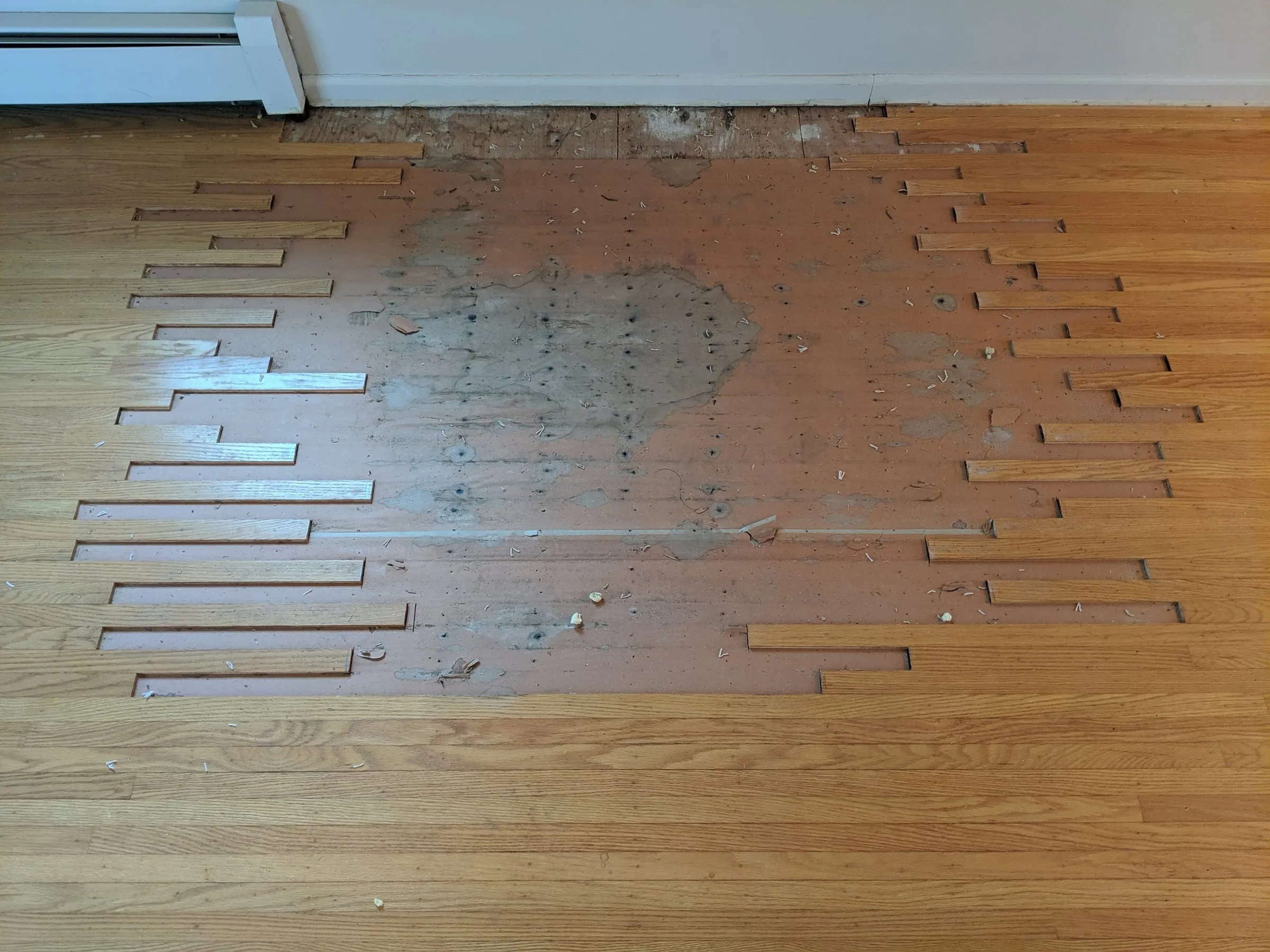 Damaged boards removed from an oak floor, exposing the subfloor before repair